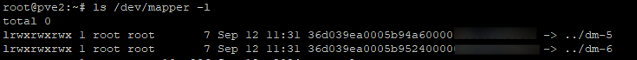 Confirm multipath result using ls /dev/mapper -l command